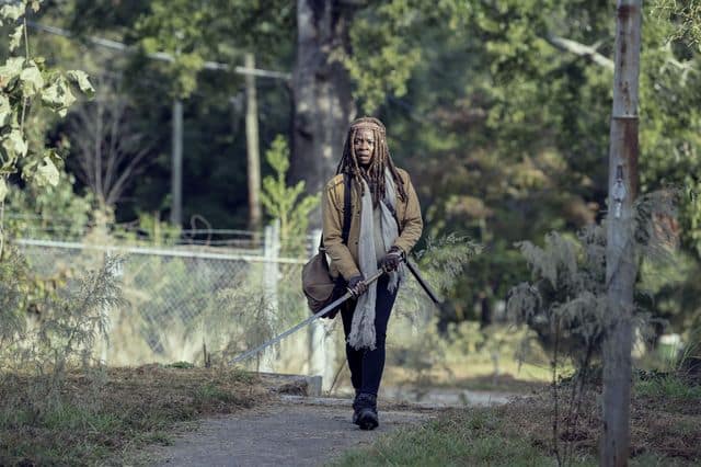 The Walking Dead - 9x14